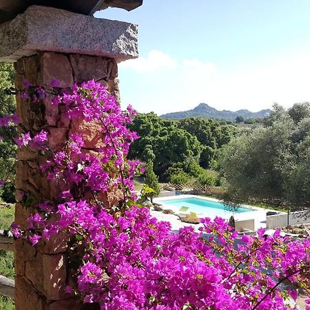 Agriturismo Desole Monti Zewnętrze zdjęcie