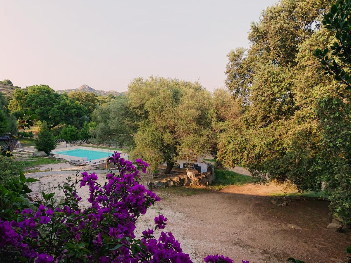 Agriturismo Desole Monti Zewnętrze zdjęcie