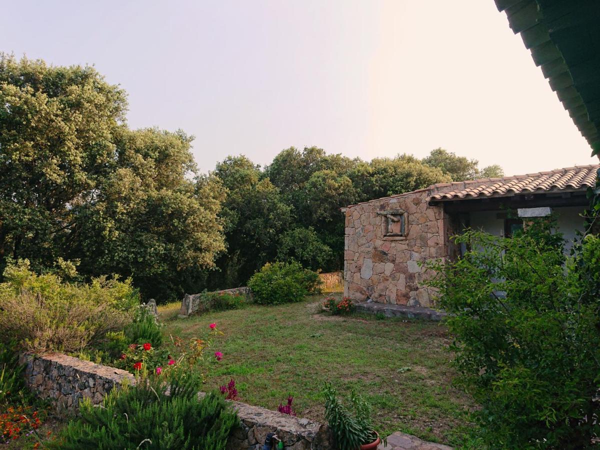 Agriturismo Desole Monti Zewnętrze zdjęcie
