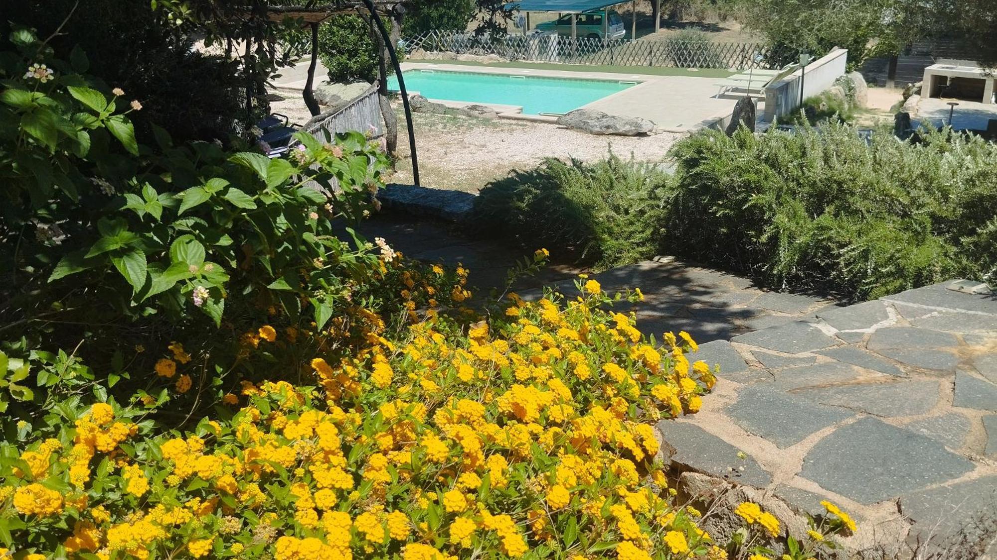 Agriturismo Desole Monti Zewnętrze zdjęcie